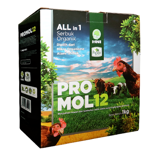 PROMOL12 1KG